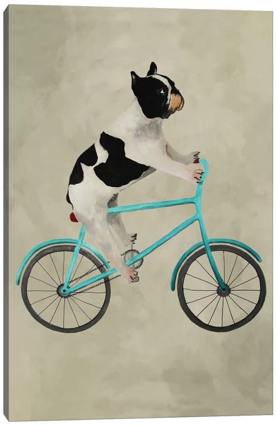 Bulldog On Bicycle Canvas Art Print - French Bulldog Art