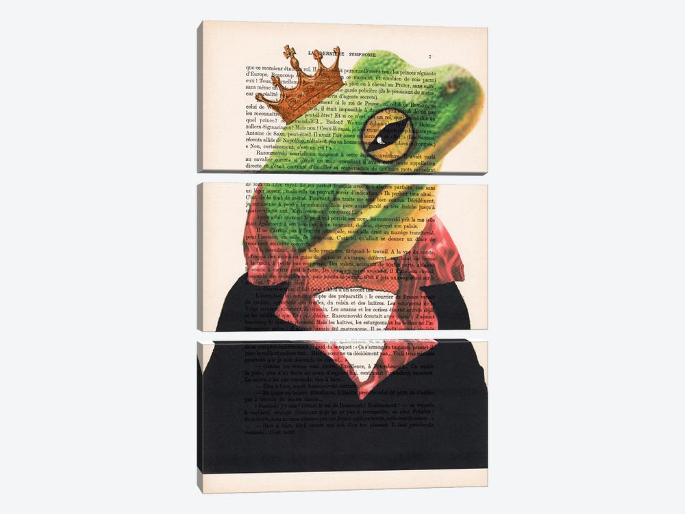 King Frog by Coco de Paris 3-piece Canvas Artwork