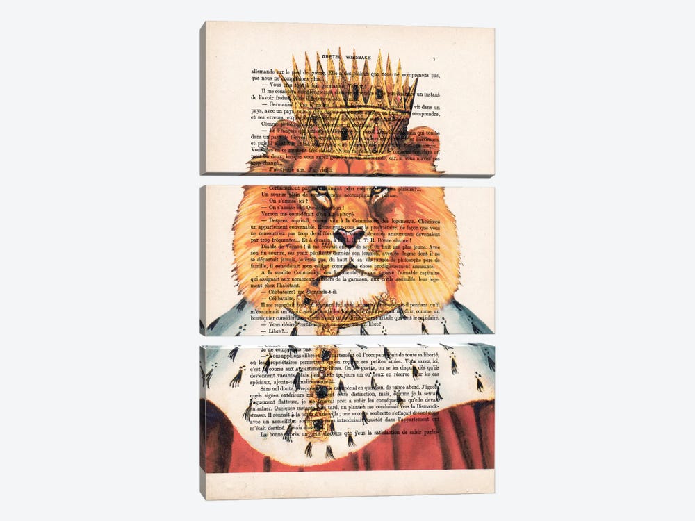 Lion King by Coco de Paris 3-piece Canvas Wall Art