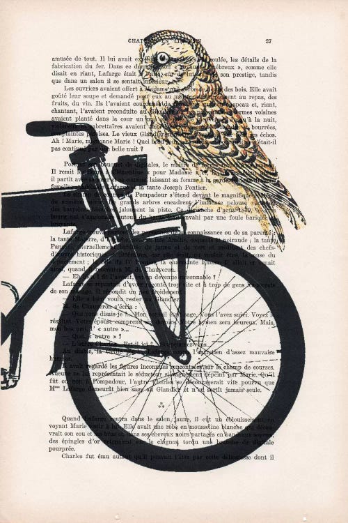 Owl On Bicycle