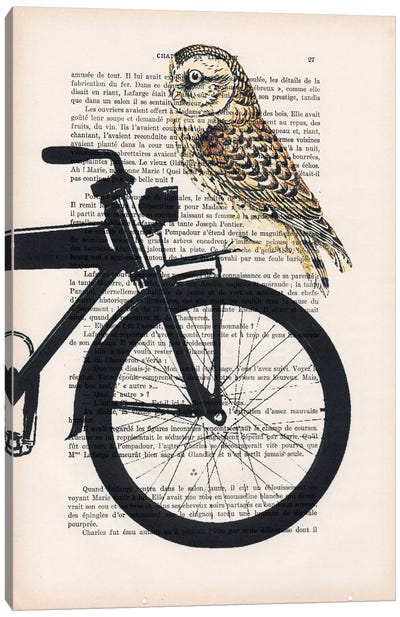 Owl On Bicycle Canvas Art Print - Coco de Paris