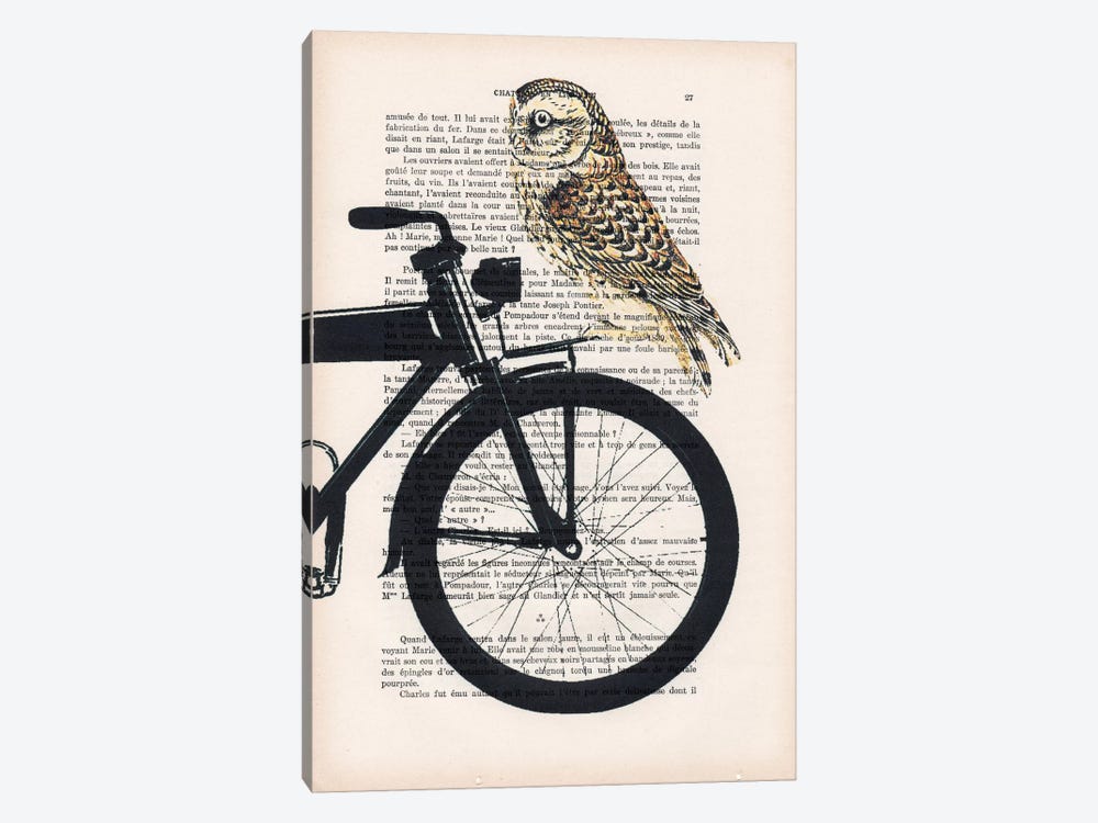 Owl On Bicycle by Coco de Paris 1-piece Canvas Art