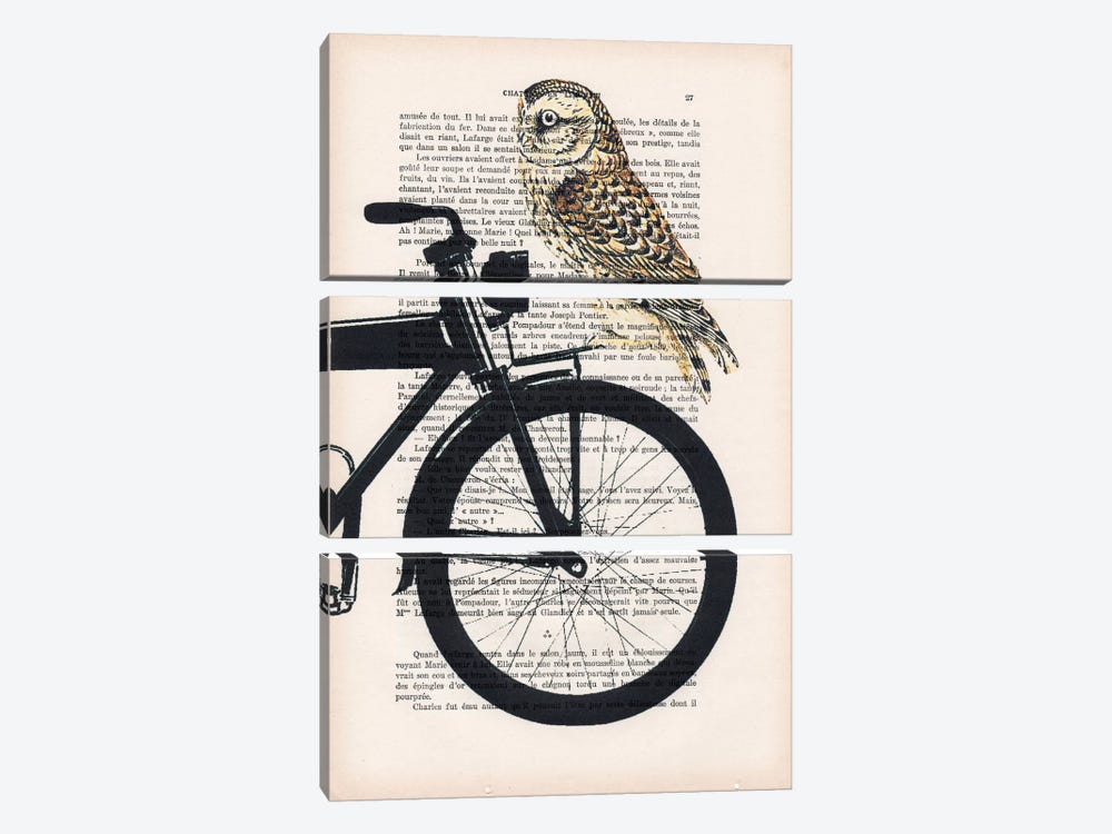 Owl On Bicycle by Coco de Paris 3-piece Canvas Wall Art