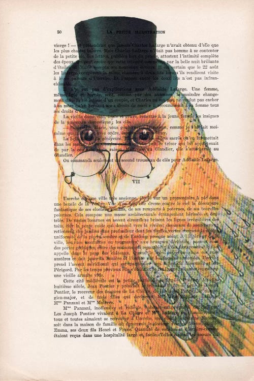 Owl Wit Hat