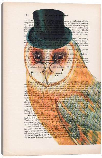 Owl Wit Hat Canvas Art Print - Wisdom Art