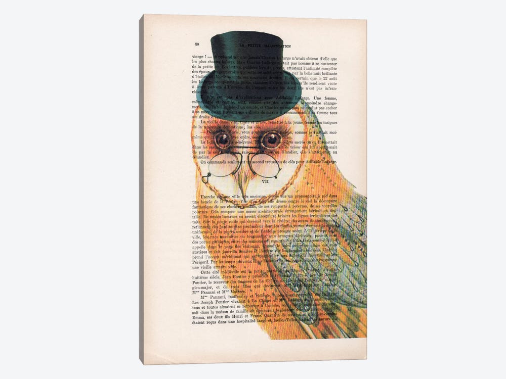 Owl Wit Hat by Coco de Paris 1-piece Art Print