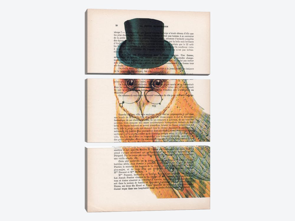 Owl Wit Hat by Coco de Paris 3-piece Canvas Art Print
