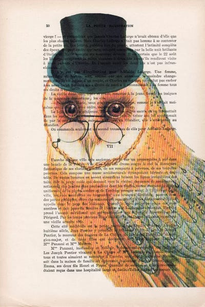 Book illustrations: Owl Wit Hat by Coco de Paris