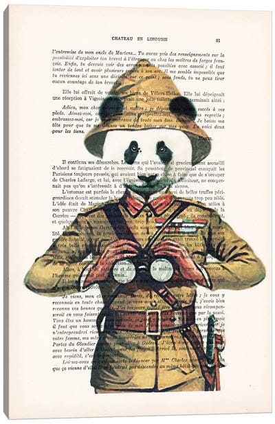 Panda Explorer Canvas Art Print - Panda Art