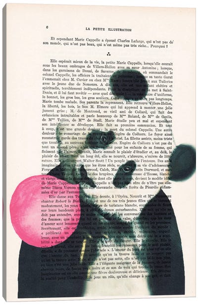 Panda With Bubblegum Canvas Art Print