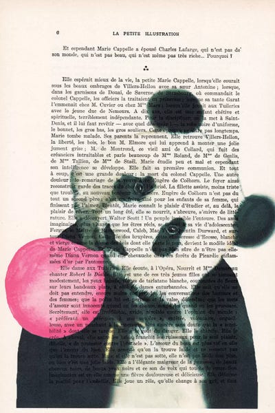 Pandas: Panda With Bubblegum by Coco de Paris