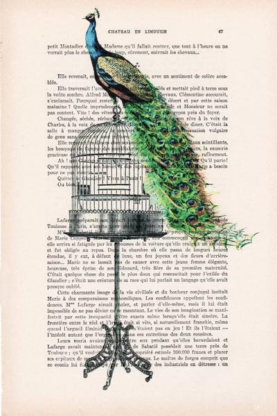 Peacock On Birdcage by Coco de Paris multi panel art