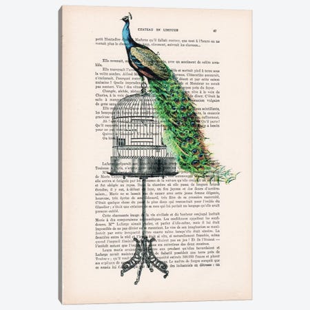 Peacock On Birdcage Canvas Print #COC125} by Coco de Paris Canvas Art