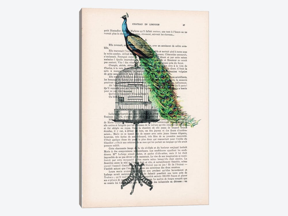 Peacock On Birdcage by Coco de Paris 1-piece Canvas Print