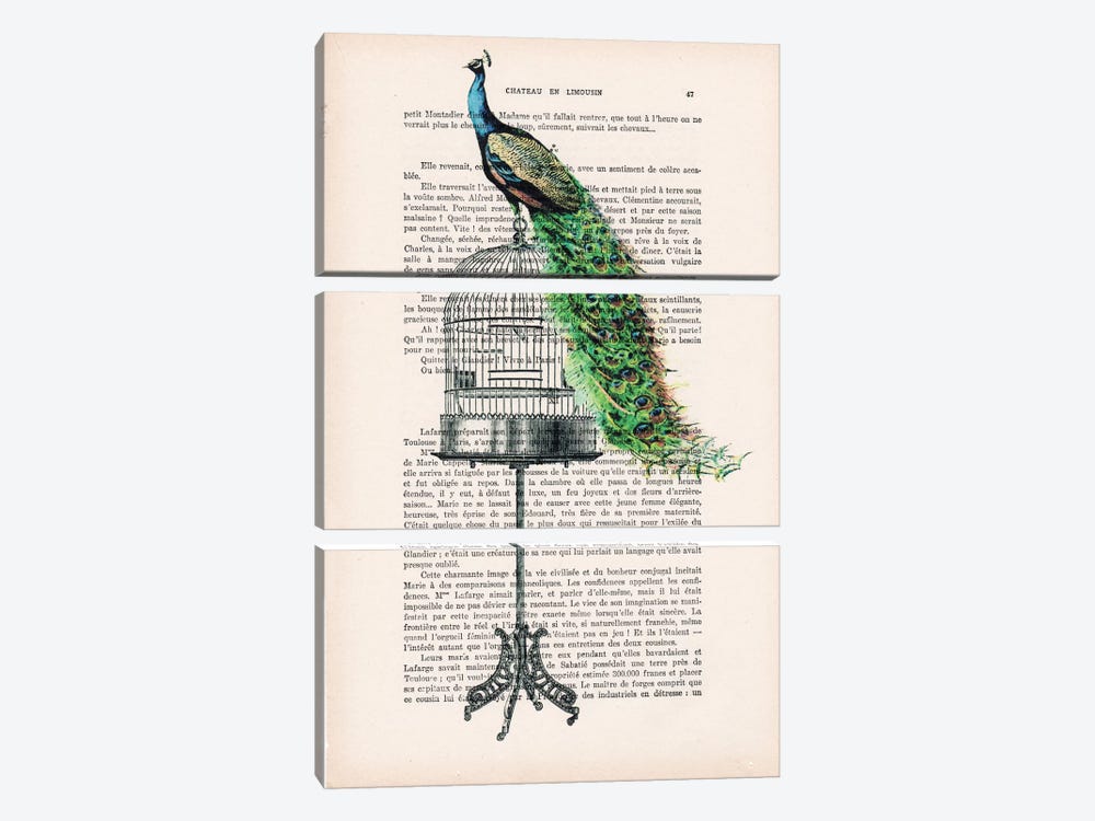 Peacock On Birdcage by Coco de Paris 3-piece Canvas Art Print