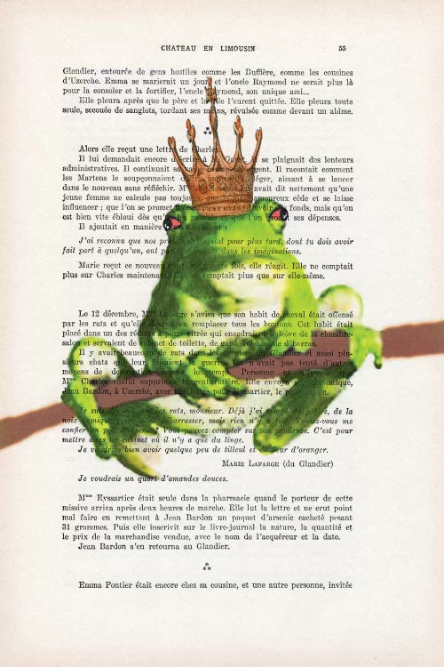 Prince Frog