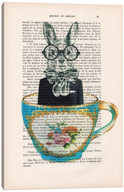 Rabbit In A Cup Canvas Art Print - Book Illustrations 