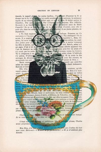 Book illustrations: Rabbit In A Cup by Coco de Paris