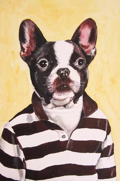 Bulldog With Stripy Shirt by Coco de Paris metal wall art