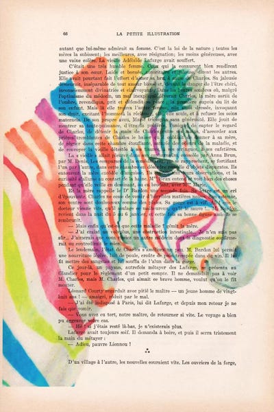 Coco de Paris: Rainbow Zebra I by Coco de Paris