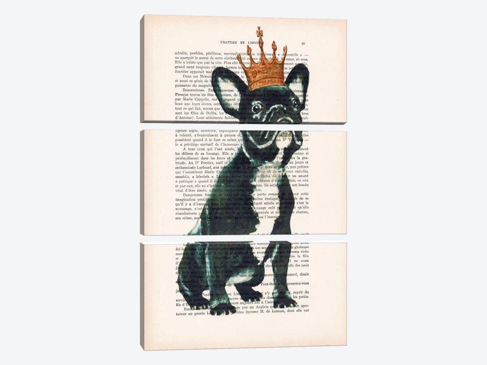 Royal Bulldog by Coco de Paris 3-piece Art Print