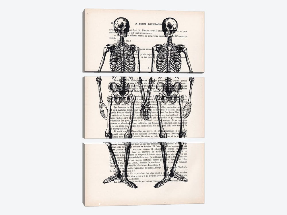 Skeleton Friends by Coco de Paris 3-piece Canvas Print