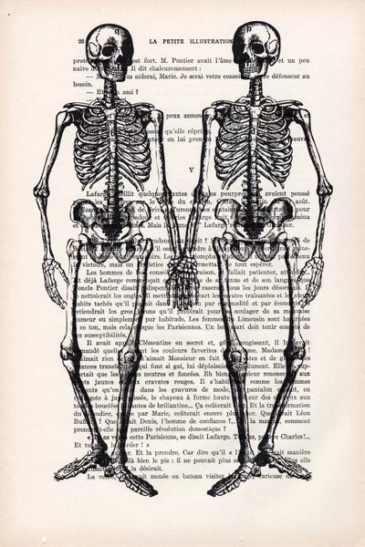 Skeletons: Skeleton Friends by Coco de Paris