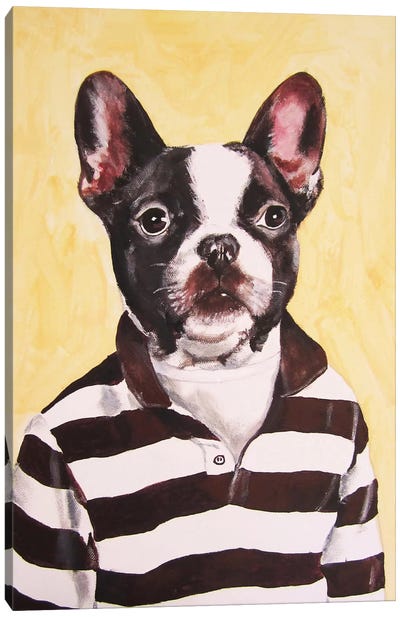 Bulldog With Stripy Shirt Canvas Art Print - French Bulldog Art