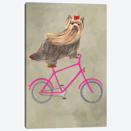 Yorkshire On Bicycle Canvas Print #COC146} by Coco de Paris Canvas Artwork