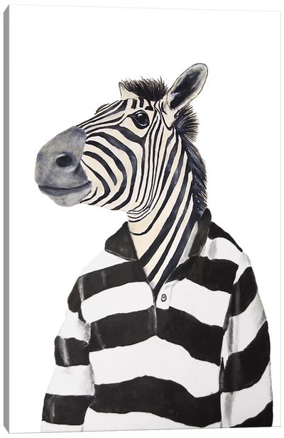 Zebra With Stripy Shirt Canvas Art Print - Zebra Art