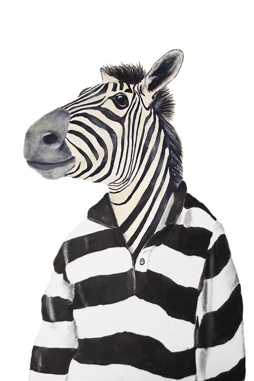 Zebra With Stripy Shirt