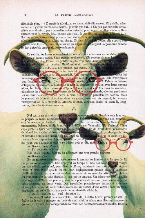 Clever Goats by Coco de Paris wall art