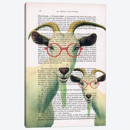 Clever Goats Canvas Print #COC149} by Coco de Paris Canvas Art Print
