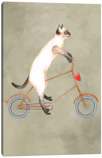 Cat On Bicycle Canvas Art Print - Playroom Art