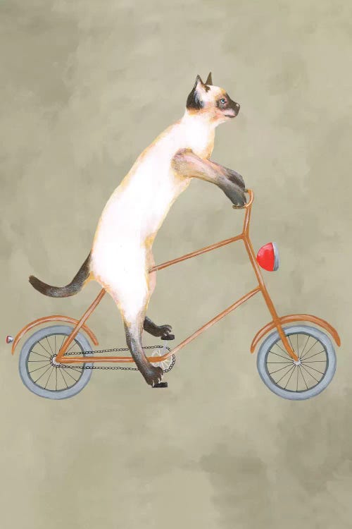 Cat On Bicycle by Coco de Paris wall art