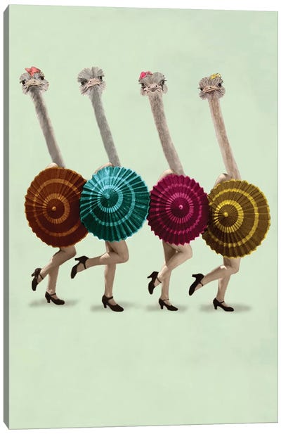 Dancing Ostriches Canvas Art Print - Ostrich Art