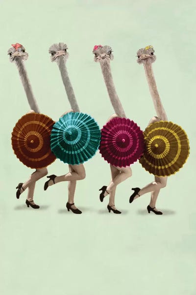 Ostriches: Dancing Ostriches by Coco de Paris