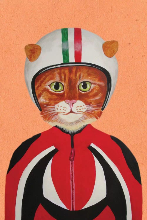 Cat With Helmet by Coco de Paris wall art