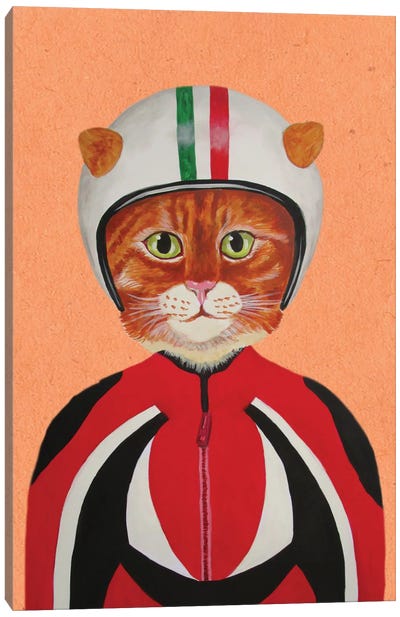 Cat With Helmet Canvas Art Print - Orange Cat Art