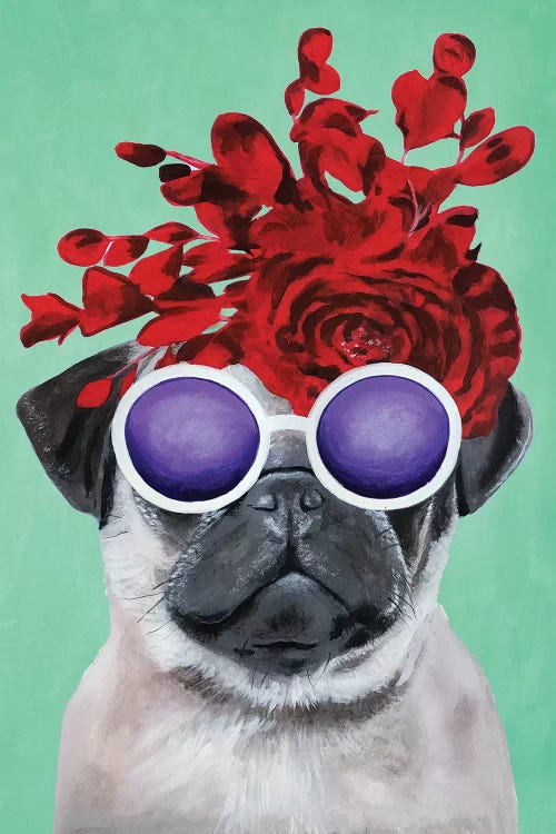 Fashion Pug Turquoise