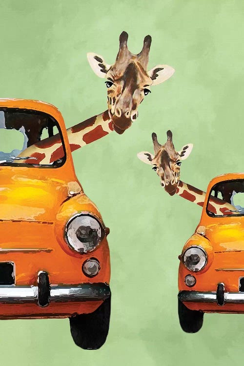 Giraffes In Yellow Cars