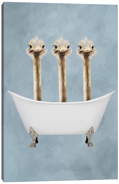 Ostriches In Bathtub Canvas Art Print - Humor Art