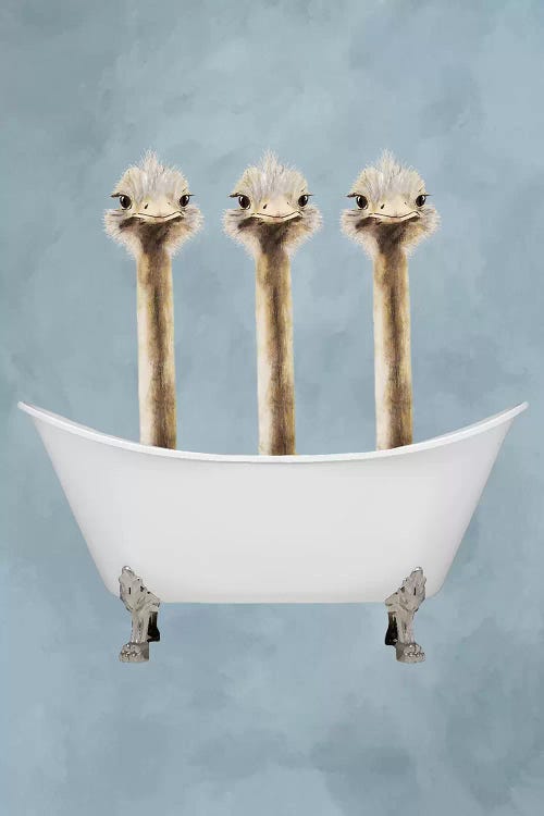 Ostriches In Bathtub