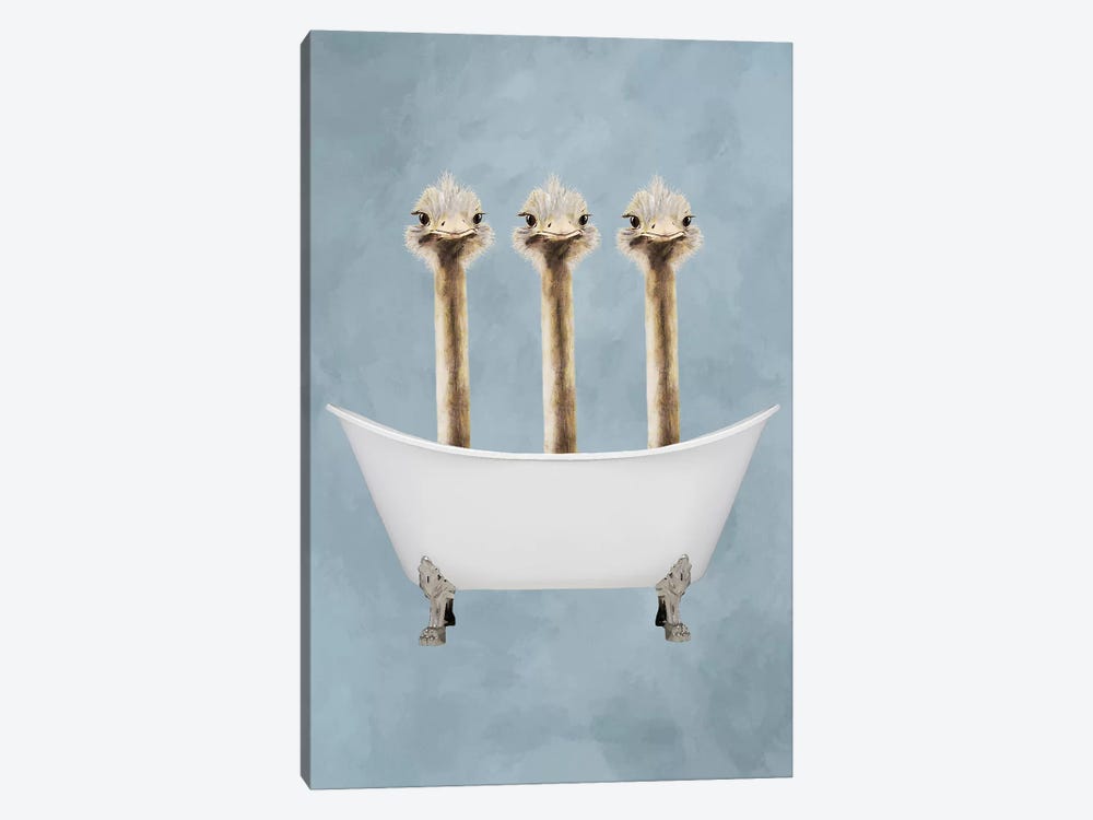 Ostriches In Bathtub by Coco de Paris 1-piece Canvas Print