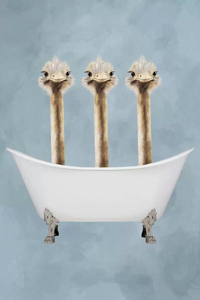 Coco de Paris: Ostriches In Bathtub by Coco de Paris