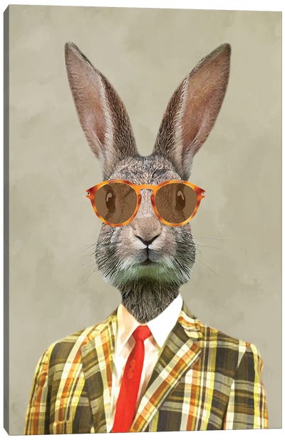 Rabbit Vintage Man I Canvas Art Print - Rabbit Art