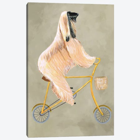 Afghan On Bicycle Canvas Print #COC176} by Coco de Paris Canvas Art Print