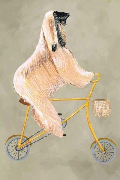 Afghan On Bicycle