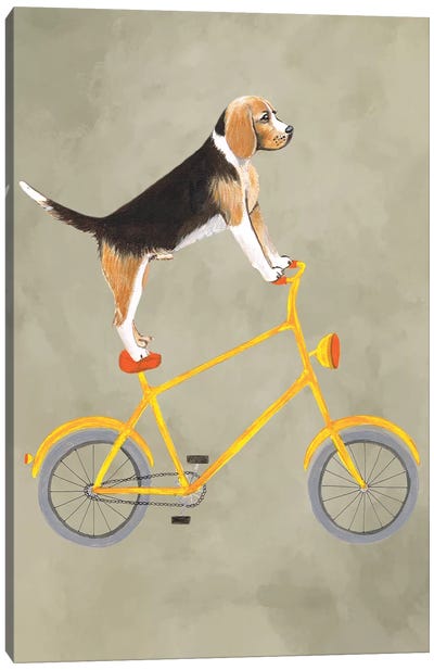 Beagle On Bicycle Canvas Art Print - Kids Transportation Art