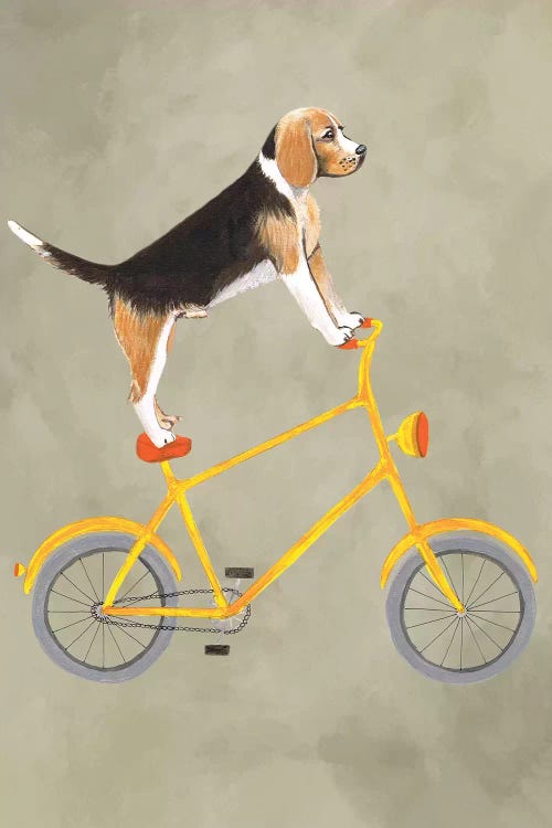 Beagle On Bicycle